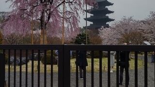 京都を代表する寺院
