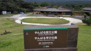 ヨンナーコースを散策しました