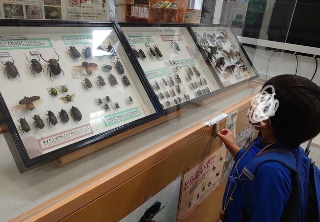 やんばる野生生物保護センター ウフギー自然館