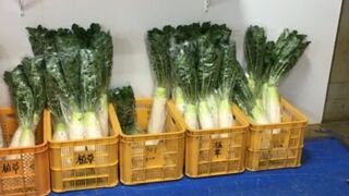 野菜売り場が充実