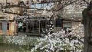 通り道にあるので、立ち寄りやすいです。