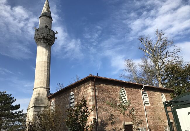 バス停の目の前