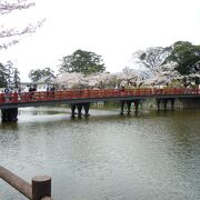 桜満開の小田原城
