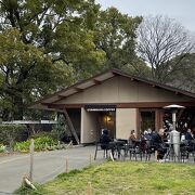 公園内のオアシス