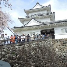 小田原城②