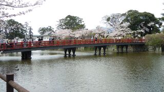 桜満開の小田原城