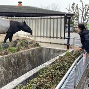 東武動物公園