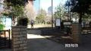 公園には古墳である亀塚があります。