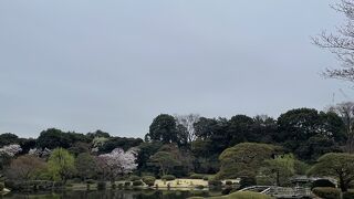 新宿御苑