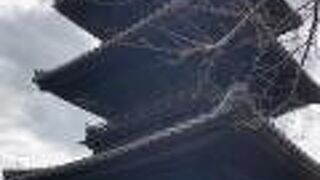 三つの国指定重要文化財、国指定史跡、県や市の重要文化財など、目白押し。