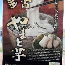 多古町はやまと芋も名産。