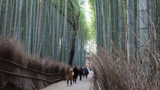 コロナのおかげで（？），人出が多くない。これがいつまで続くかな。