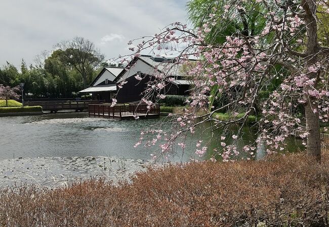 よく整備された古城公園