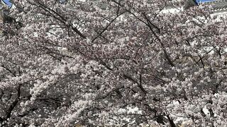 姫路城 (姫路公園)