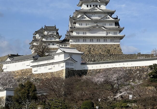 姫路城観桜会