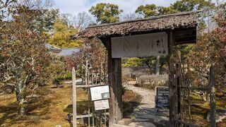 庭園を眺めながら休憩