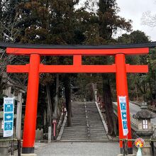 ここから吉田山の山道に
