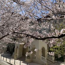 宝塚ホテル、桜も似合います。