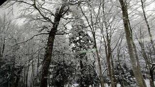 雪のアルペンルートは神秘的