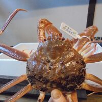 玄関先で松葉かにを持たせてくれた　ズッシリ！