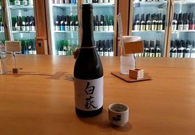 満寿泉の日本酒を試飲できます