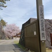 桜が綺麗でした。