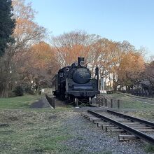 C57形蒸気機関車が展示されています