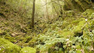 もう一度行きたい