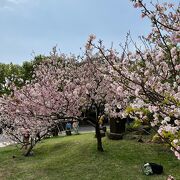 陽明山公園