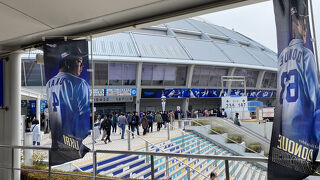中日ドラゴンズの本拠地