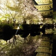 池に浮かぶ桜と五重塔