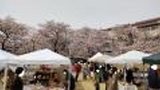 マーケットもやってる！