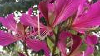 二二八和平公園