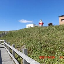 遊歩道と花咲灯台