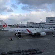 駐機している機体を真横から見ることができる