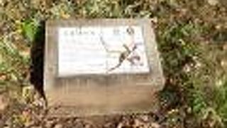 小さな説明書きもあります