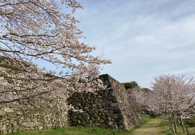 三重県のお薦めの城跡