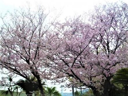 観音崎京急ホテル 写真