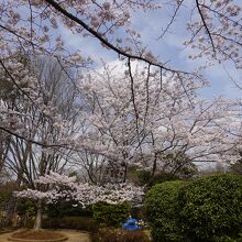 市制記念公園