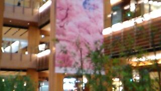 ビルボードライブに行くために約5ヶ月ぶりに行きました