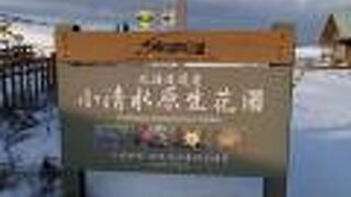 藻琴山を眺めて