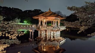 時は桜の季節で、とても風流で癒されました