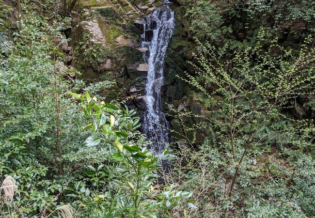 片道６００メートルほどの小旅行です