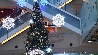 クリスマスツリーが登場