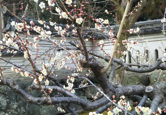 自然を生かした日本庭園