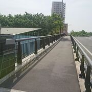 中川船番所資料館近くの旧中川を渡る橋