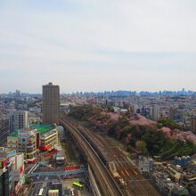 線路と飛鳥山公園