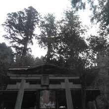 由岐神社の山門