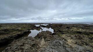 歩くのには十分注意が必要です。魚はあまり多くは見られませんでした。
