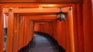 神秘的な雰囲気